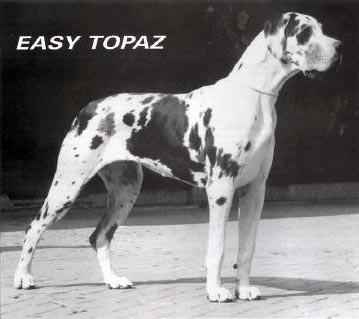 Easy Topaz