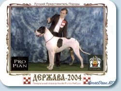 BOB on All-Russia Dog Show 