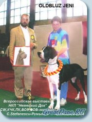 All-Russian Great Dane Specialty Show 2004, with judge C. Stefanesku